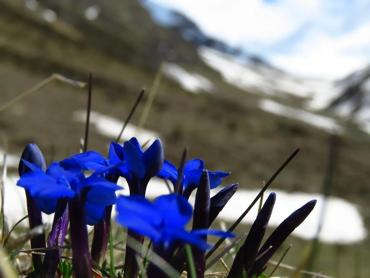 Appartamenti Pirovano Bormio